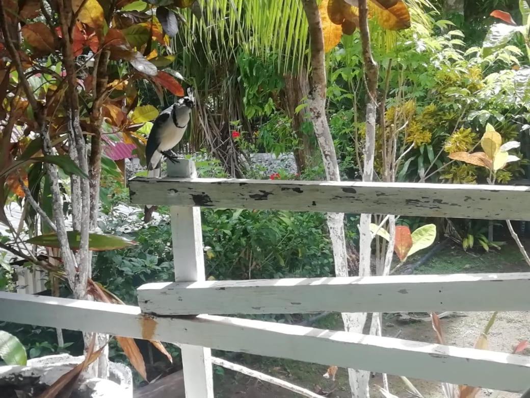 مبيت وإفطار باكيرا Donde Familia Manito المظهر الخارجي الصورة